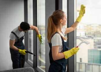 DIY vs. Professional Window Cleaning: What’s the Best Choice?