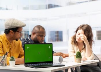 What Is Procapita Hub and Why Does It Matter for Your Business?