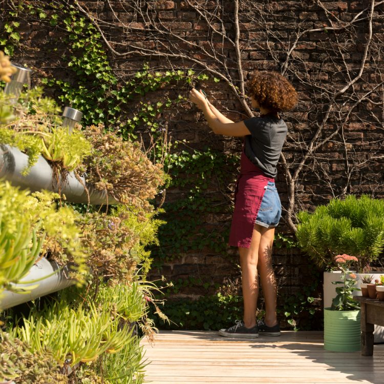 Landscaping Burlington: Transforming Urban Yards into Edible Gardens with Monarch Landscaping