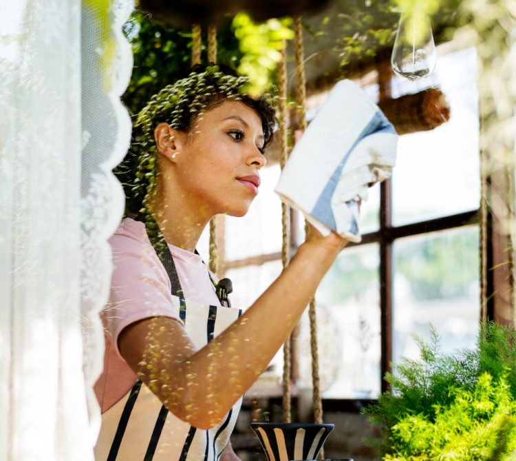 Why Window Washing Is a Must for Businesses: First Impressions Matter Clean Start Exteriors – Window Washing Hamilton