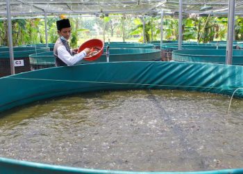 Sustainable Aquaculture: A Systems-Based Examination of Its Principles, Challenges, and Potential