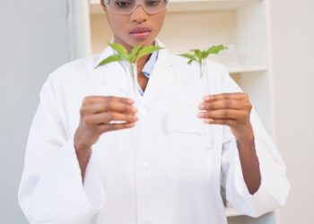 From Lab to Road: SyntecBiofuel Biofuel Solution