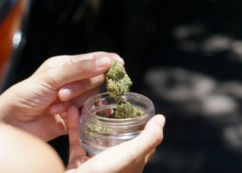 Cheap THCA Flower Ounces: The $100 oz. Pinch Me, I’m Dreaming!