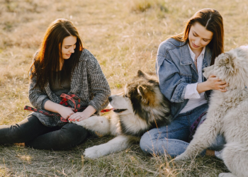 Calling all pet lovers across Alberta!