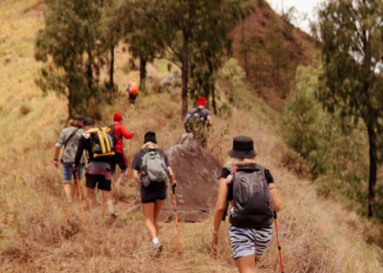 Seasons of the Trail: What to Expect on an ATV Tour in Jaco Year-Round