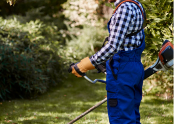Keeping Your Landscape Healthy with Professional Tree Trimming Near Me