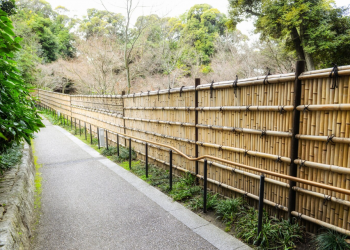 Wood vs. Vinyl vs. Metal Fencing: Which One Lasts Longest?