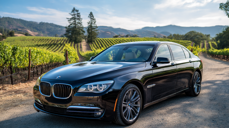 Planning Your Perfect Finger Lakes Wine Tour Experience