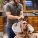 Barber vs Hair Salon in Singapore: How to Choose (with Orchard-area insider tips)