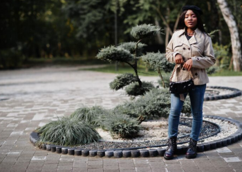 How Monarch Landscaping Delivers Stress-Free Burlington Landscaping Projects