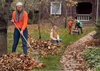 Fall Cleanup Made Easy: Burlington Landscaping Advice from the Pros