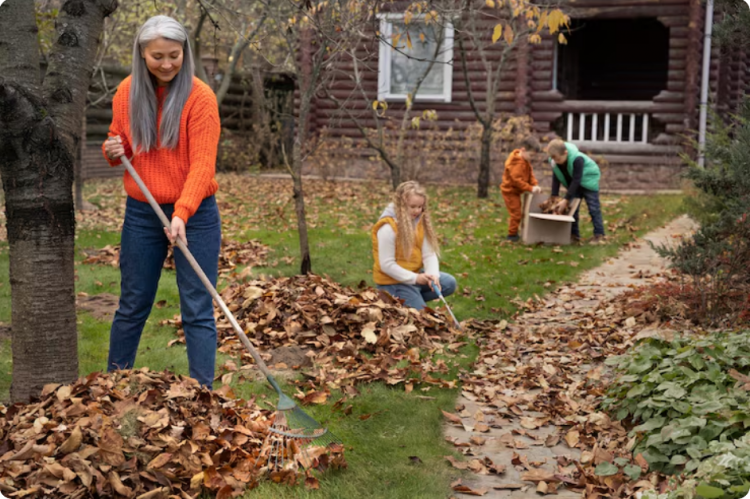Fall Cleanup Made Easy: Burlington Landscaping Advice from the Pros