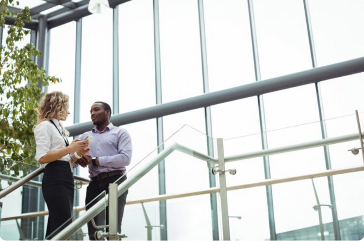 Commercial Aluminum Pergolas: Style Meets Business Success