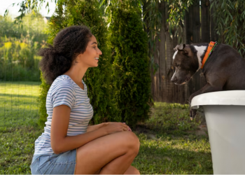 Behavioral Enrichment for Exotic Animals: Keeping Pets Engaged and Happy