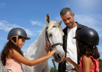 The Modern Horse Racing Betting Guide: Tradition Meets Technology