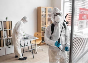 Comprehensive Guide to Pest Control in Perth: Keeping Your Home Safe