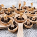 Shiitake Fruiting Blocks: A Beginner’s Guide
