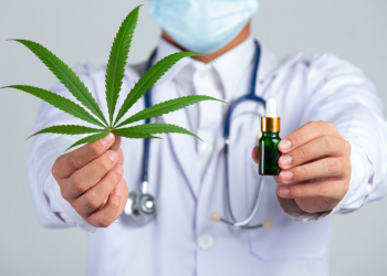 The Rise of Winnipeg Weed Delivery: Convenience Meets Regulation