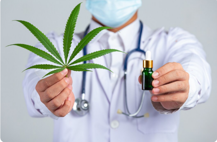 The Rise of Winnipeg Weed Delivery: Convenience Meets Regulation