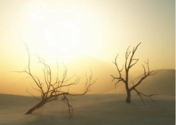 Early Life & Background