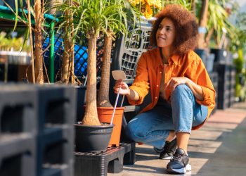 Smart Watering Solutions for Healthier Landscapes