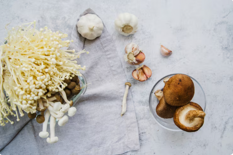 Nootropic Mushrooms: A Beginner’s Guide to Fungal Cognitive Enhancement