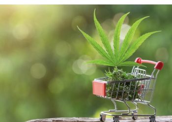 How Canada’s Cannabis Act Changed What It Means to Shop Safely