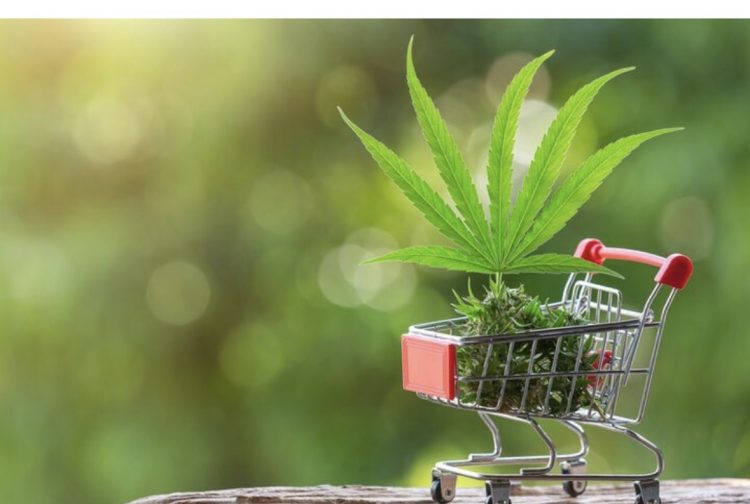 How Canada’s Cannabis Act Changed What It Means to Shop Safely