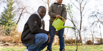 Keeping Stockport’s Trees Safe, Healthy, and Long-Lived: What Tree Surgeons Actually Do