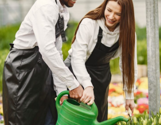 Benefits of Hiring a Full-Service Landscaping Company