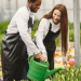 Benefits of Hiring a Full-Service Landscaping Company