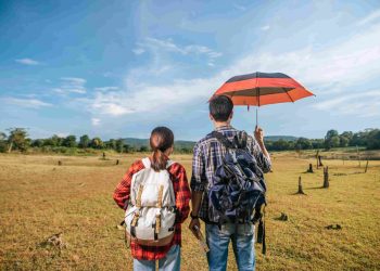 A Guide to Organisations Supporting Red Kite Awareness and Wildlife Protection