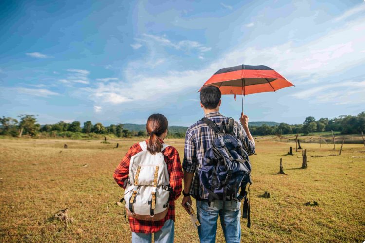 A Guide to Organisations Supporting Red Kite Awareness and Wildlife Protection