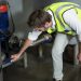 Why Finding the Source of Water Intrusion Should Come Before Repairs