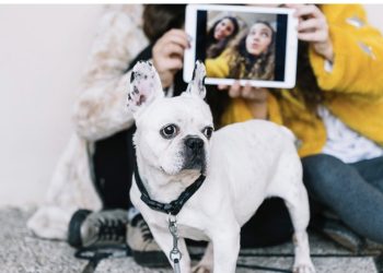 How to Turn Your Favorite Pet Photos Into Meaningful Home Décor
